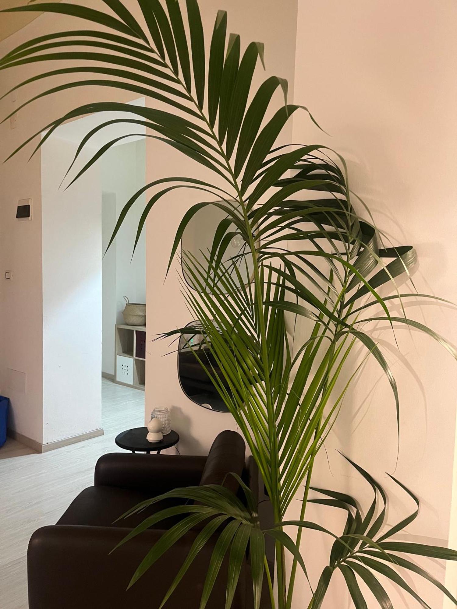Deodato Maison d'hôtes Catane